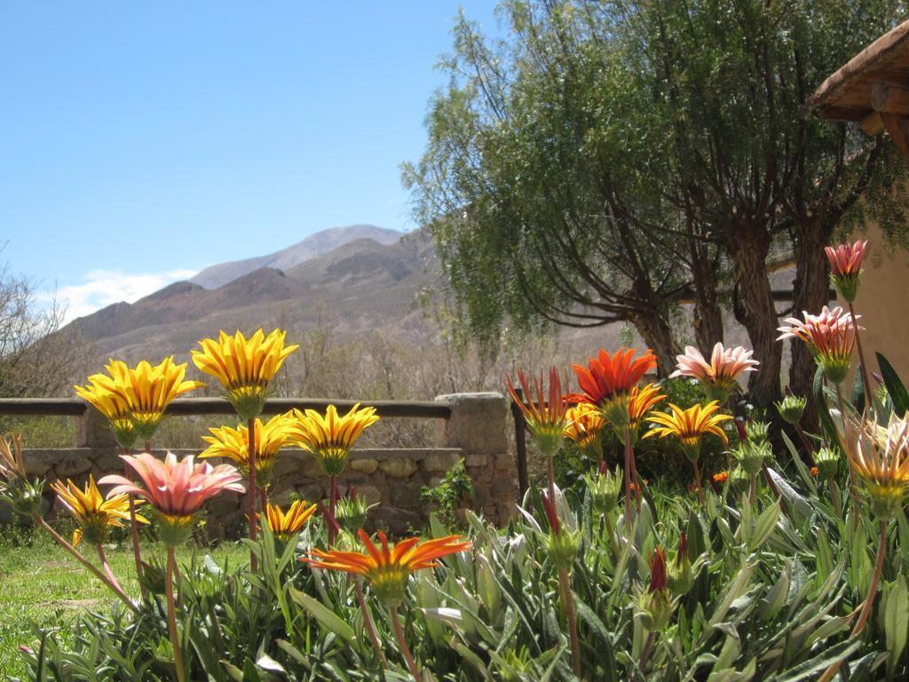 Posada Campo Morado Уакалера Экстерьер фото